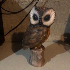 Owl on a log (not taxidermy)